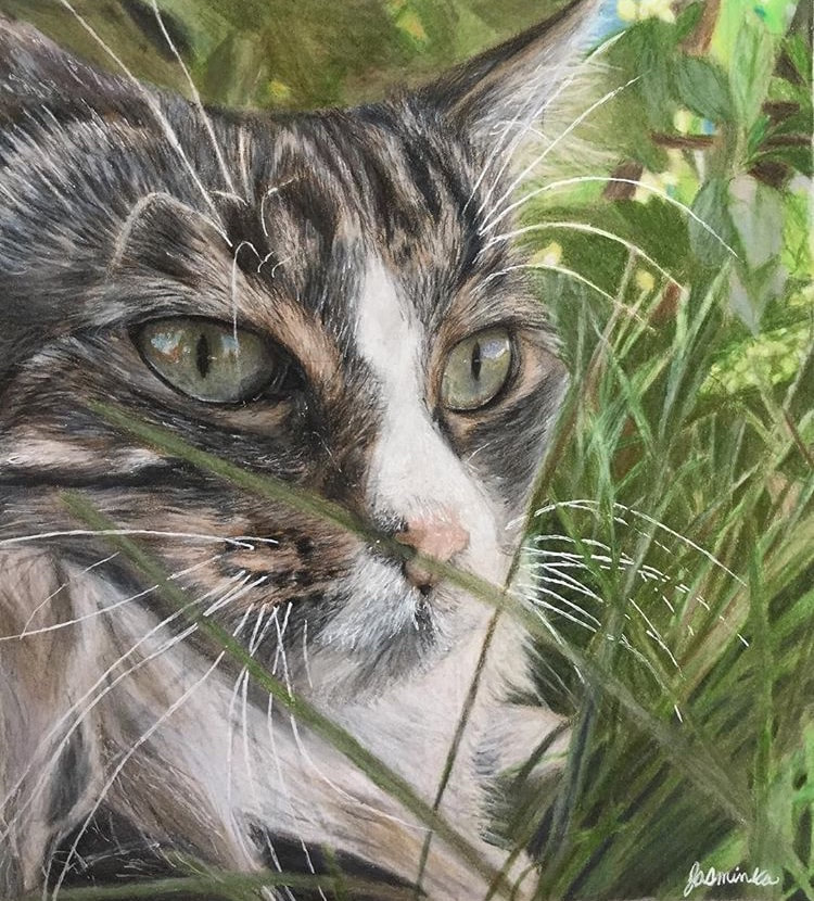 Drawing of a gray cat sitting in grass